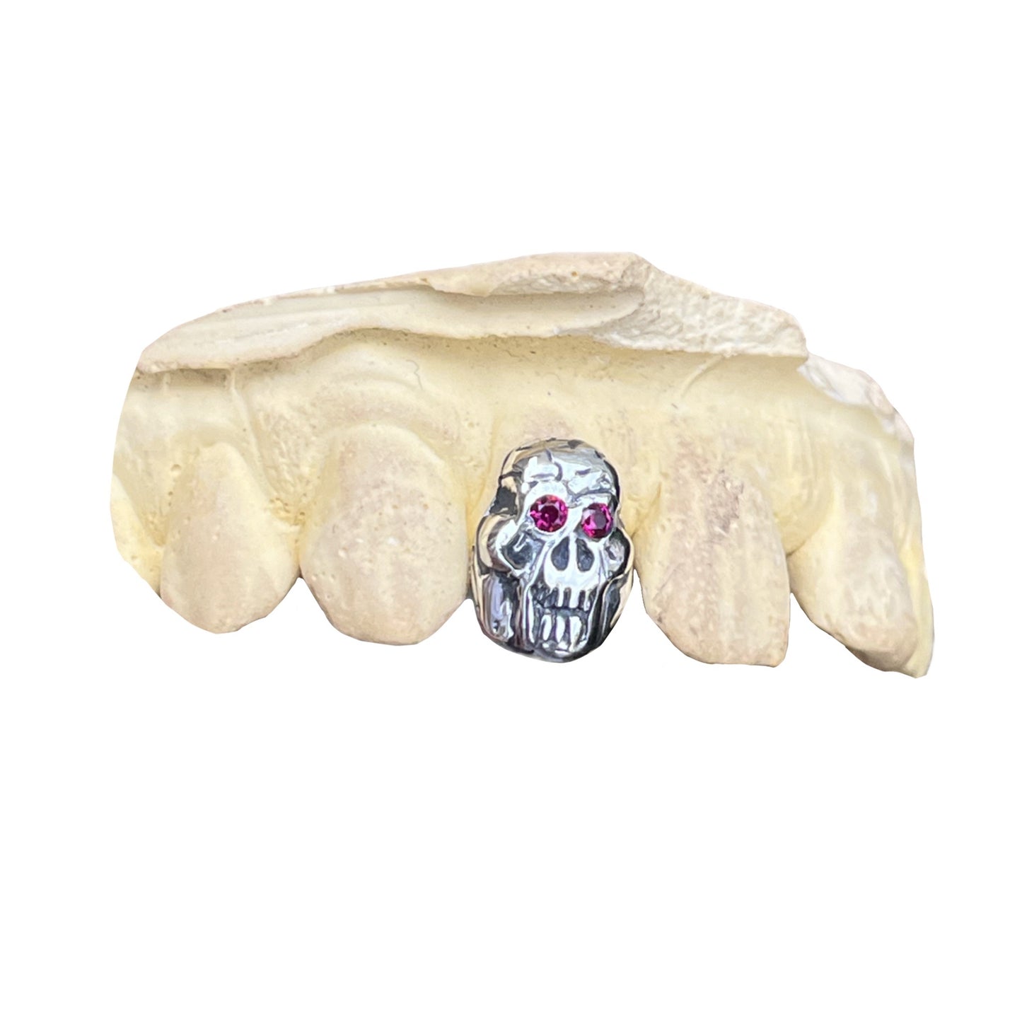 Skull Grillz 💀