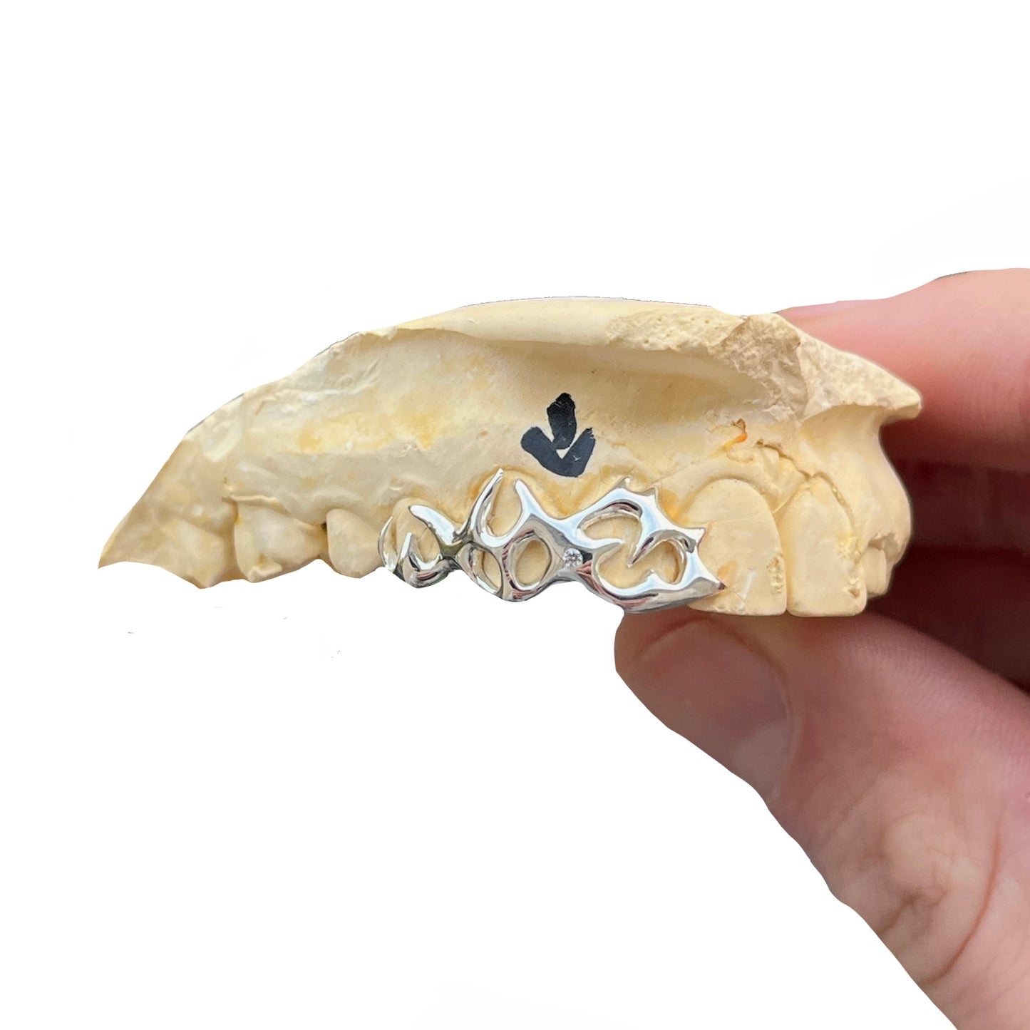 Complex Venom (1 - 3 Teeth)