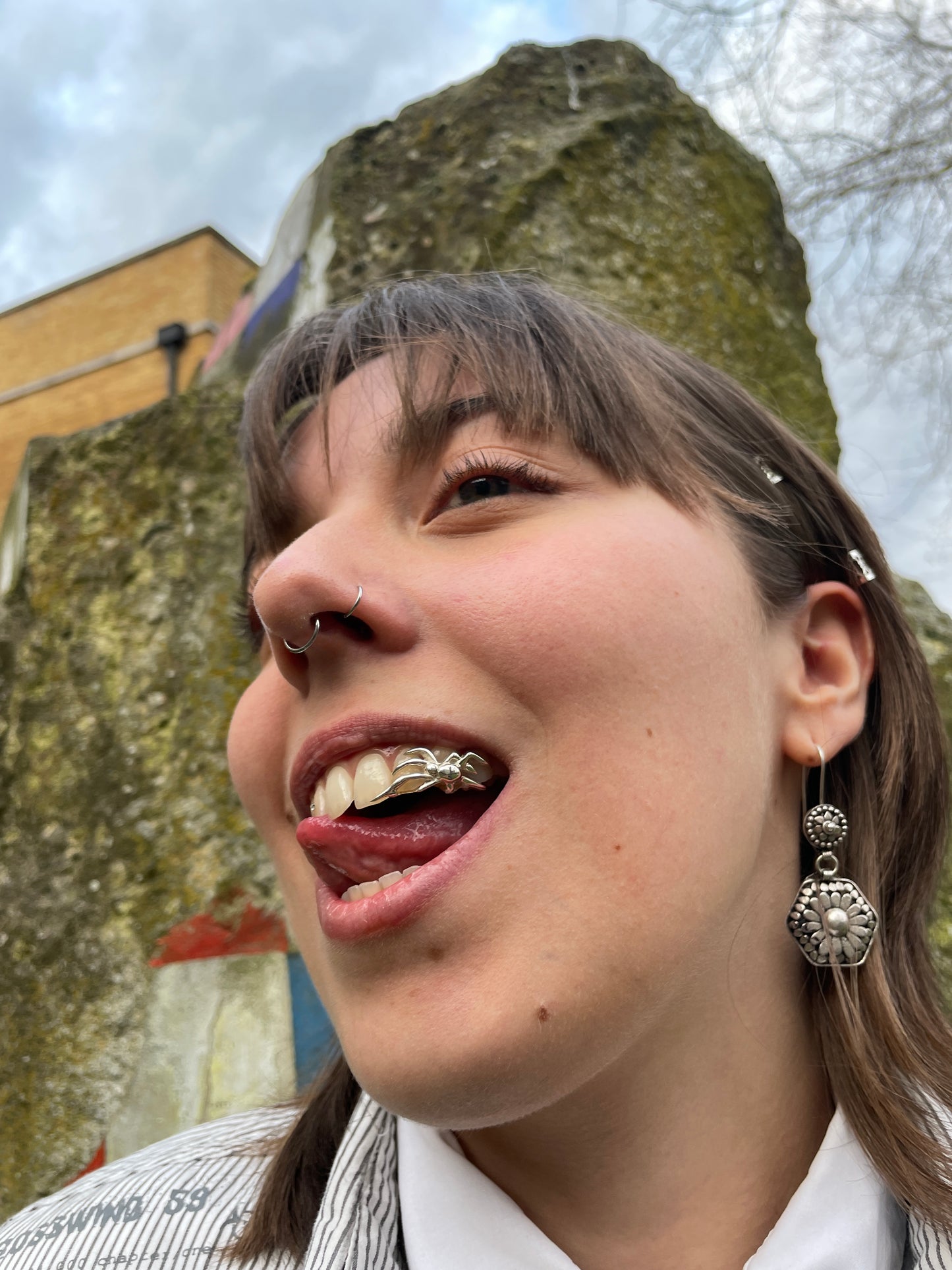 Spider Grill