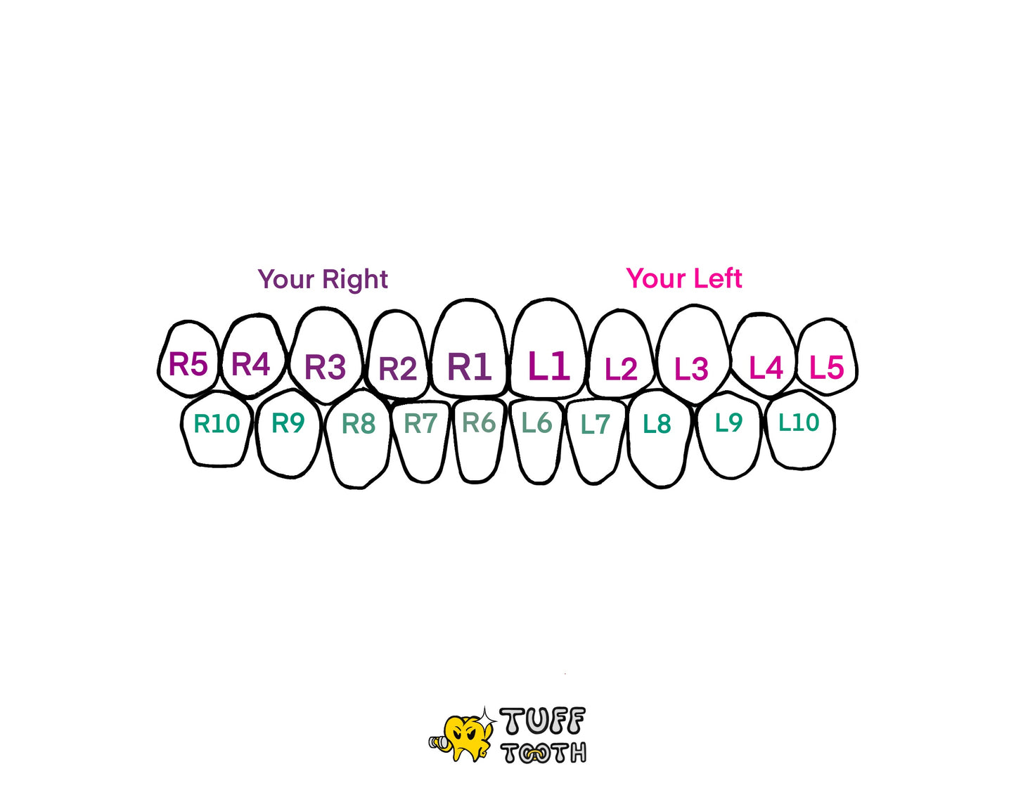Waves (1 - 3 Teeth)