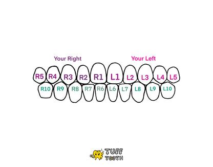 Waves (1 - 3 Teeth)