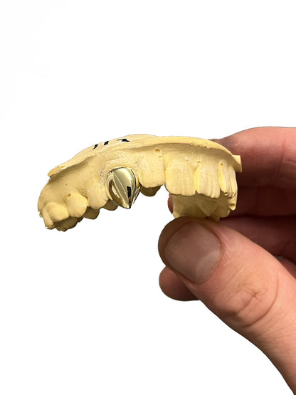 K9 Fangs
