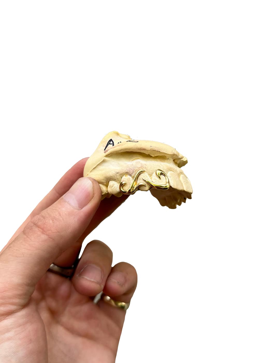 Tuff Tooth custom grillz photo 15
